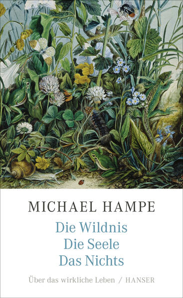 Die Wildnis die Seele das Nichts
