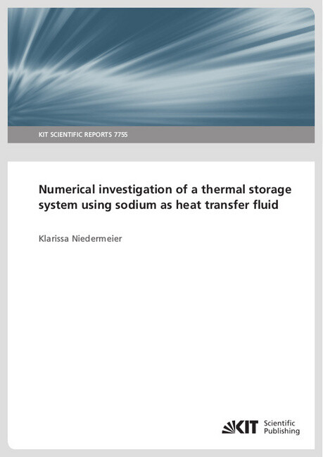 Numerical investigation of a thermal storage system using sodium as heat transfer fluid
