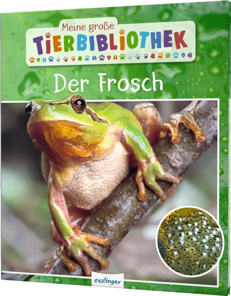 Image of Der Frosch / Meine große Tierbibliothek Bd.15