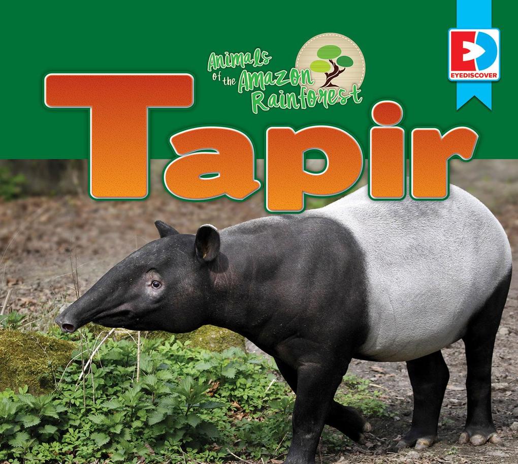 Animals of the Amazon Rainforest: Tapir