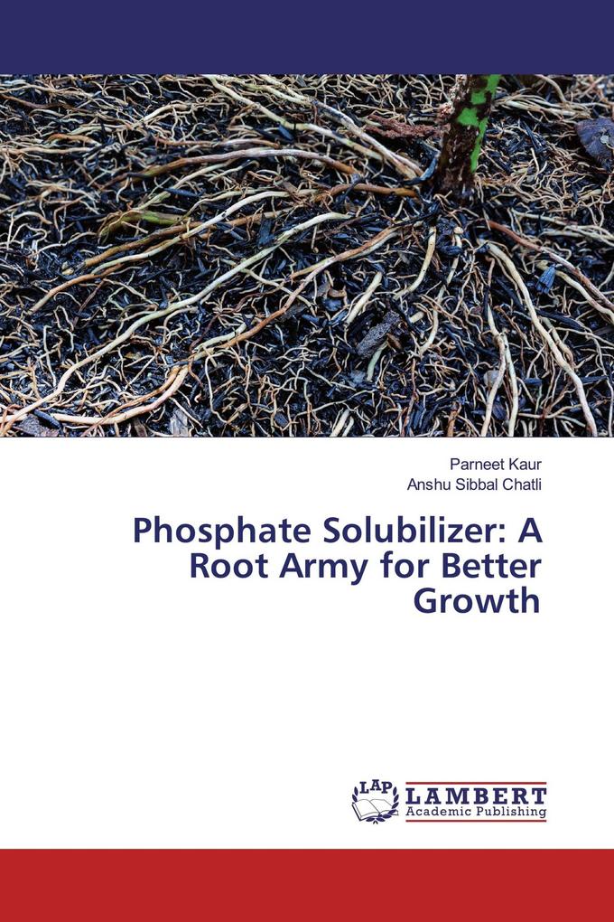 Phosphate Solubilizer: A Root Army for Better Growth