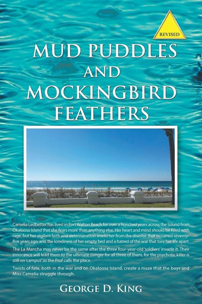 Mud Puddles and Mockingbird Feathers and The Sky is Crying