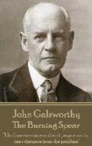 John Galsworthy - The Burning Spear: Idealism increases in direct proportion to one‘s distance from the problem