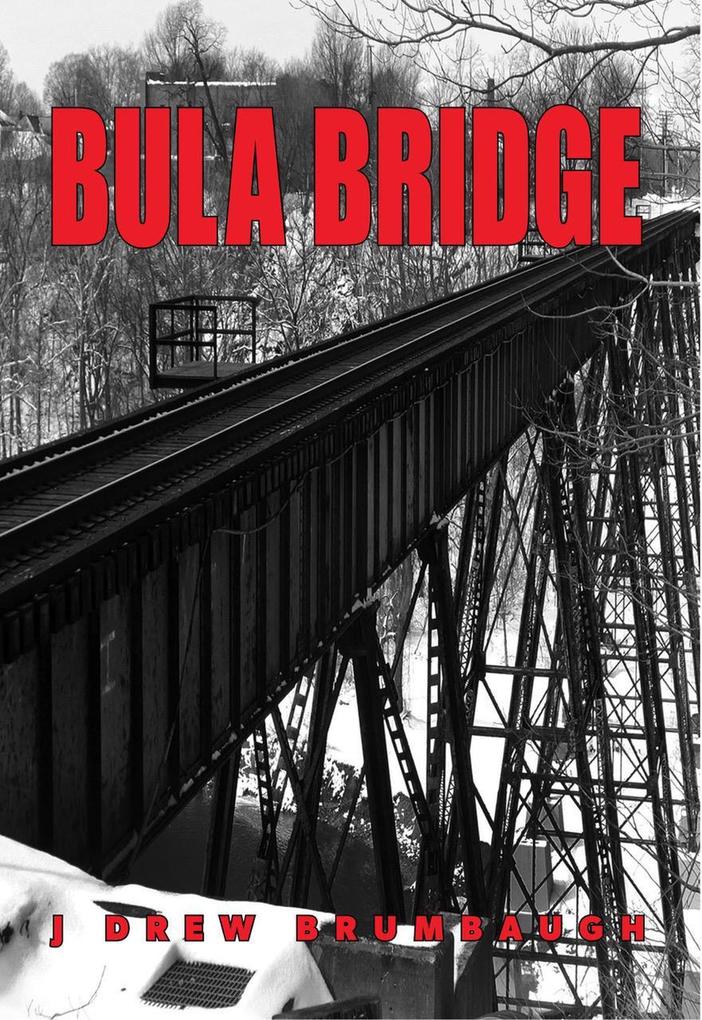 Bula Bridge (Galiwee Visions #2)