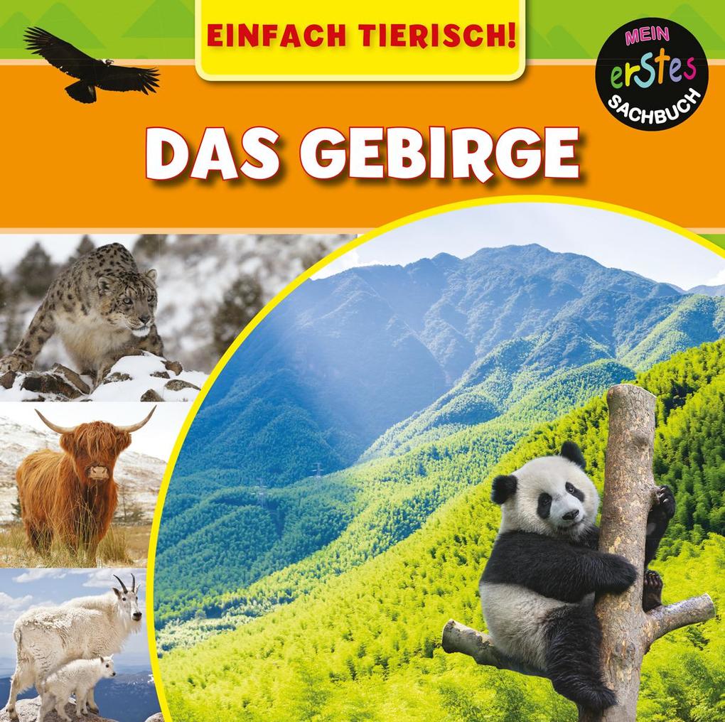 Image of Das Gebirge