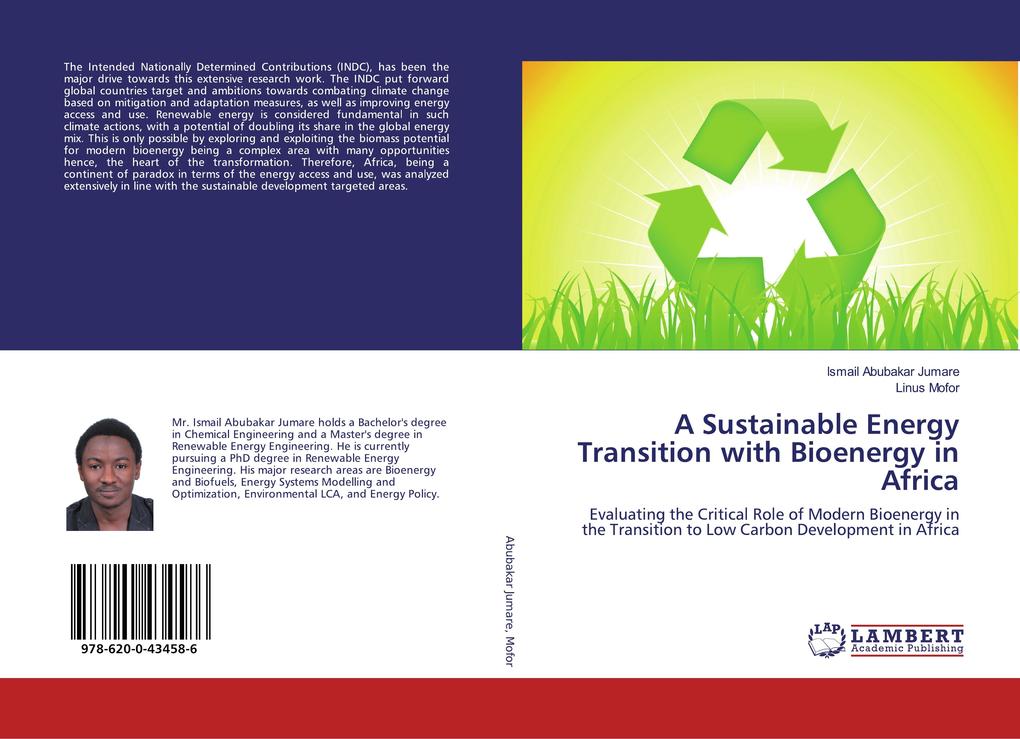 A Sustainable Energy Transition with Bioenergy in Africa