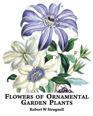 Flowers of Ornamental Garden Plants