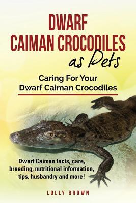 Dwarf Caiman Crocodiles as Pets: Dwarf Caiman facts care breeding nutritional information tips husbandry and more! Caring For Your Dwarf Caiman C