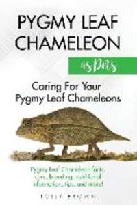 Pygmy Leaf Chameleons as Pets: Pygmy Leaf facts care breeding nutritional information tips and more! Caring For Your Pygmy Leaf Chameleons