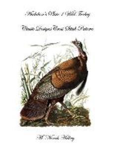 Audubon‘s Plate 1 Wild Turkey: Classic s Cross Stitch Pattern