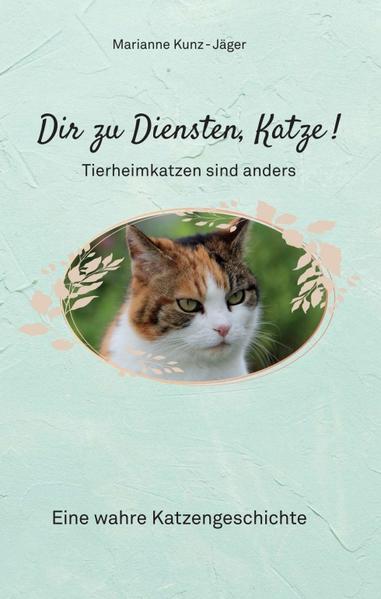 Dir zu Diensten Katze