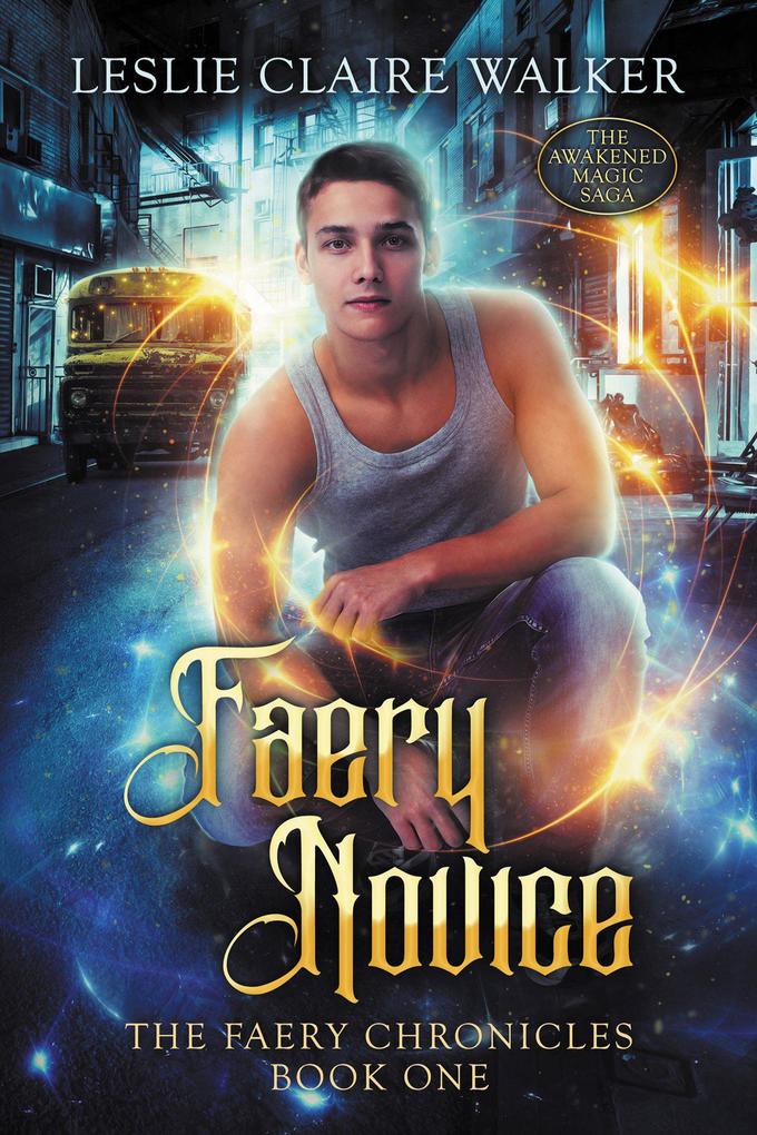 Faery Novice (The Faery Chronicles #1)