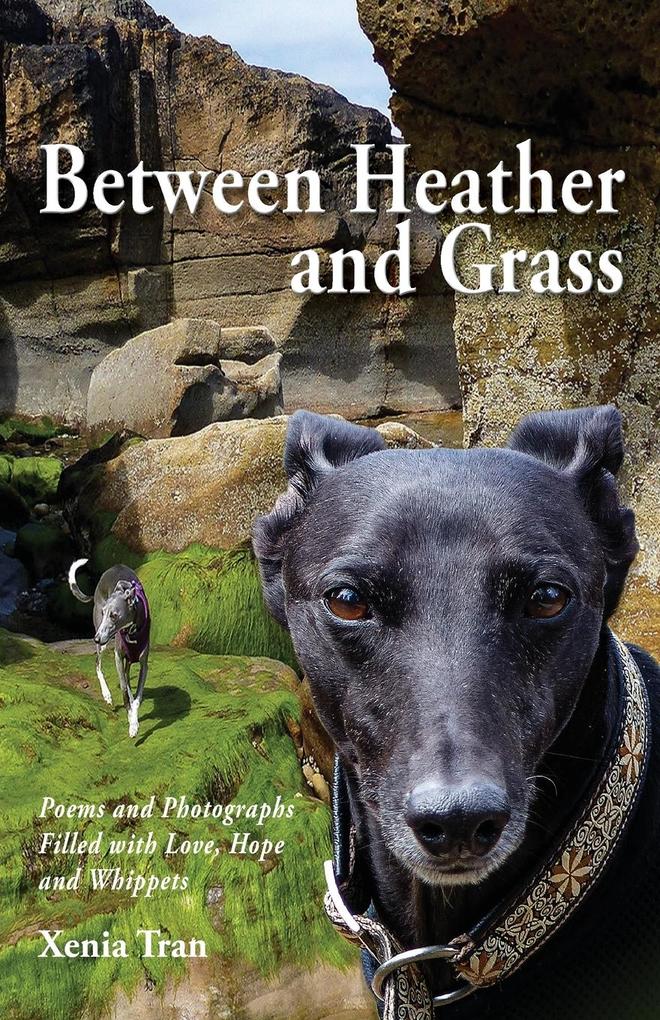 Between Heather and Grass: Poems and Photographs Filled with Love Hope and Whippets