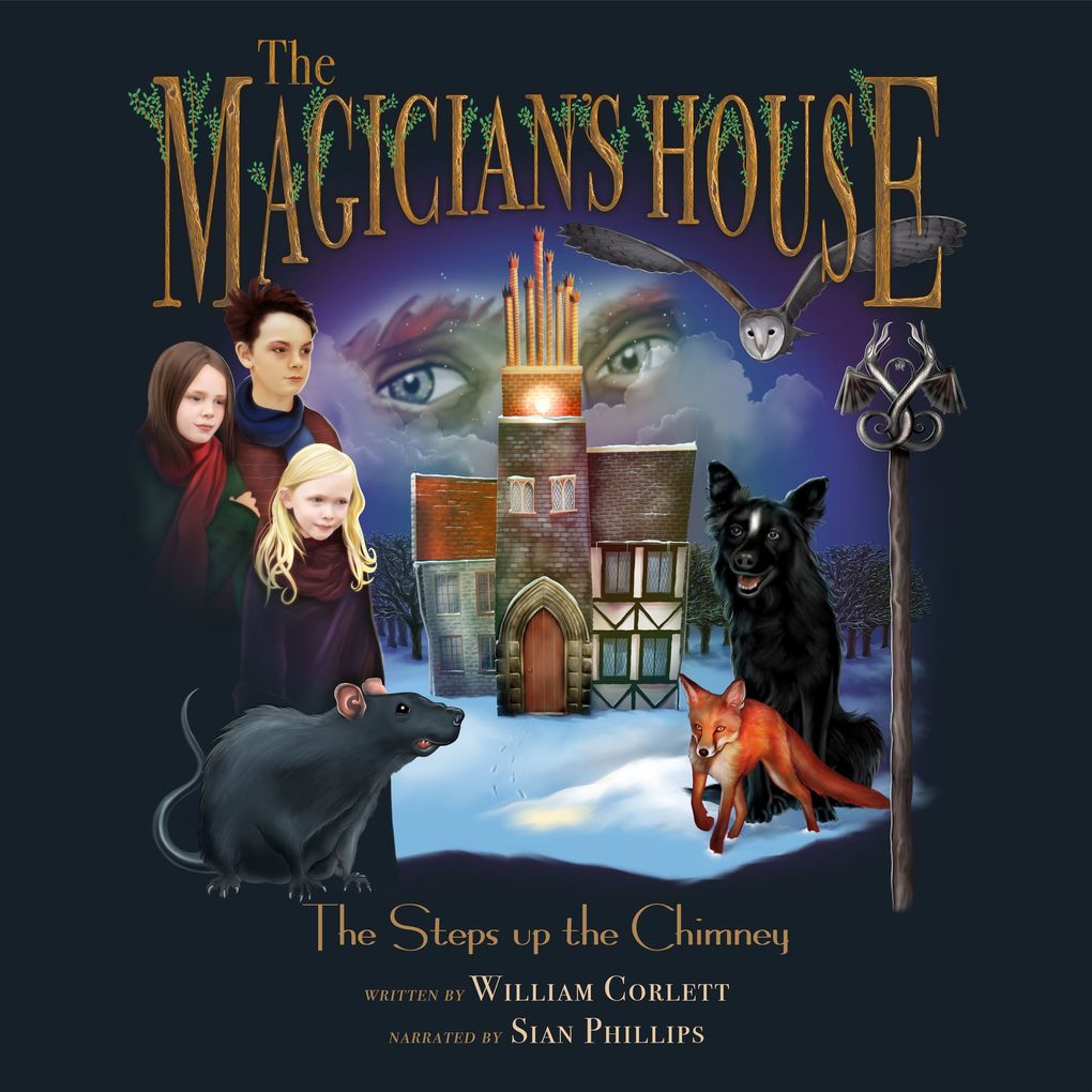 The Magician‘s House: Steps Up the Chimney
