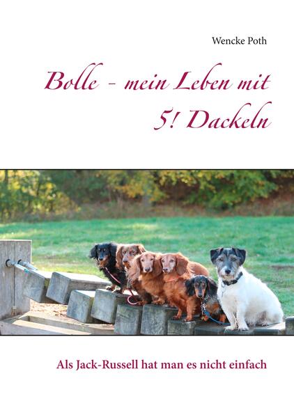 Bolle - mein Leben mit 5! Dackeln