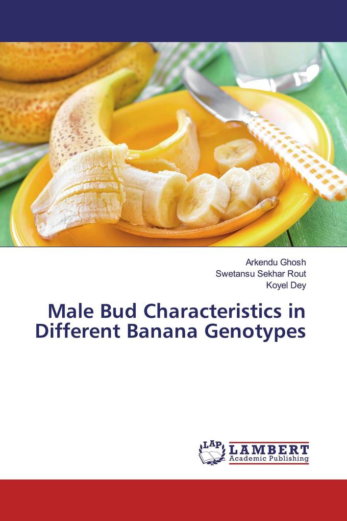 Male Bud Characteristics in Different Banana Genotypes