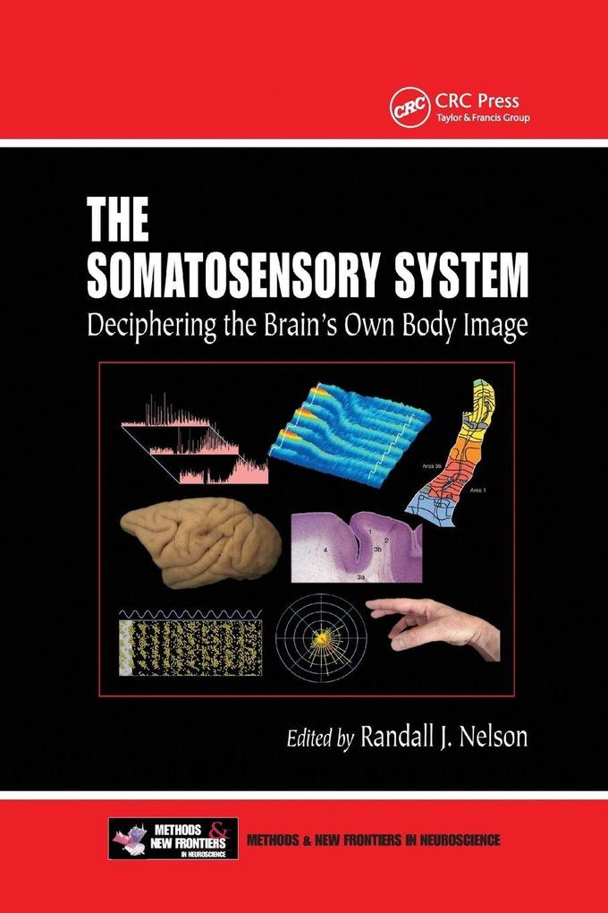 The Somatosensory System