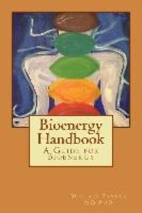 Bioenergy Handbook: A Guide for Bioenergy