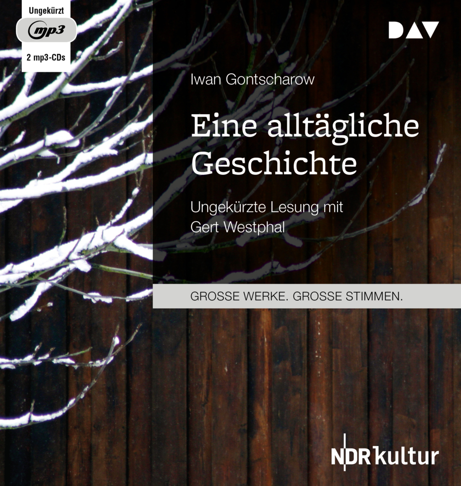 Eine alltägliche Geschichte2 Audio-CD 2 MP3
