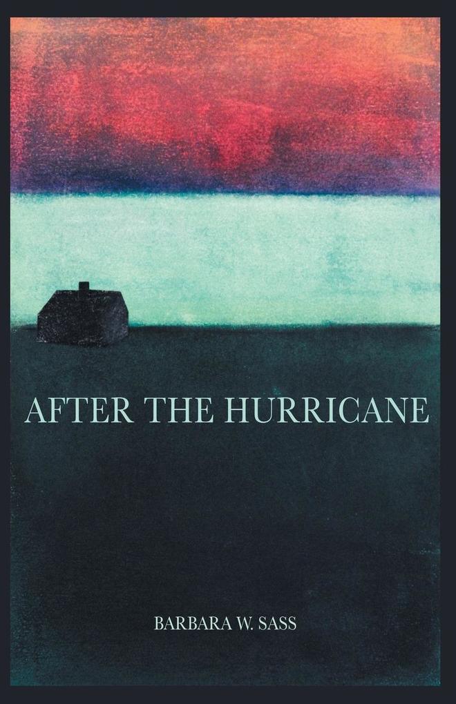 AFTER THE HURRICANE