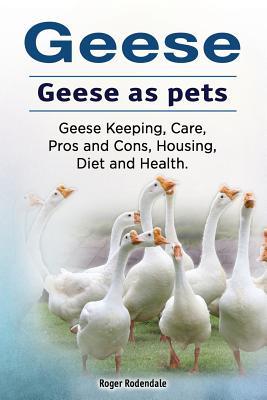 Geese. Geese as pets. Geese Keeping Care Pros and Cons Housing Diet and Health.
