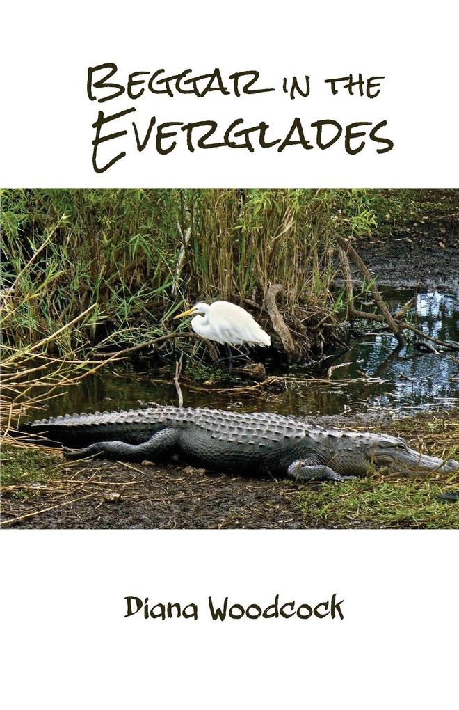 Beggar in the Everglades