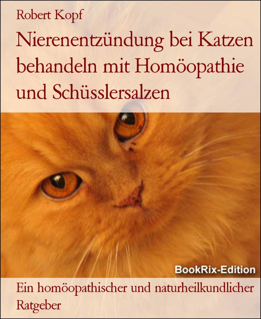 Nierenentzündung bei Katzen behandeln mit Homöopathie und Schüsslersalzen