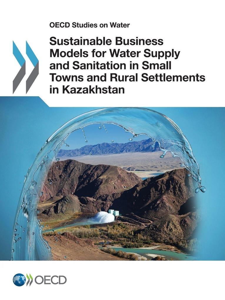 Sustainable Business Models for Water Supply and Sanitation in Small Towns and Rural Settlements in Kazakhstan