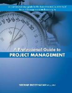 A Professional Guide to Project Management