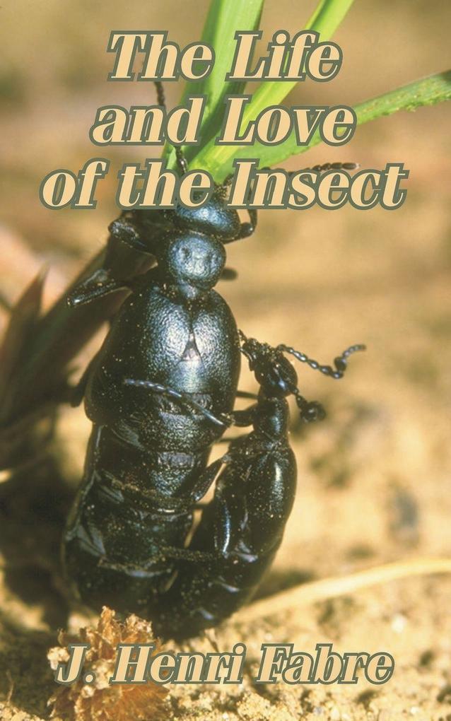 Life and Love of the Insect The