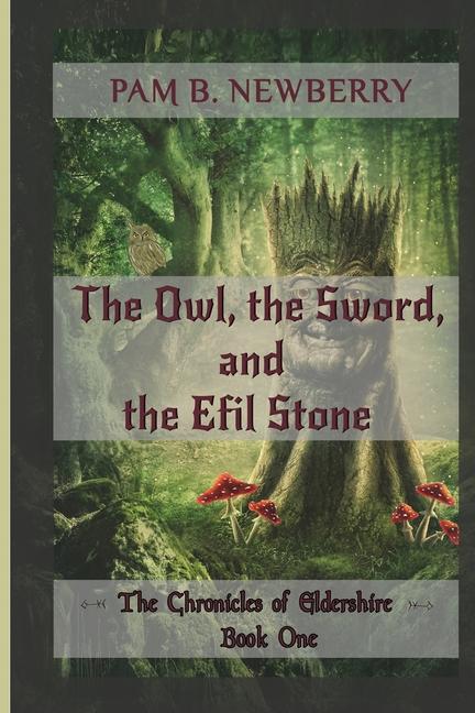 The Owl the Sword & the Efil Stone: The Chronicles of Eldershire - Book One