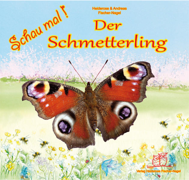 Image of Der Schmetterling - Heiderose Fischer-Nagel, Andreas Fischer-Nagel, Gebunden