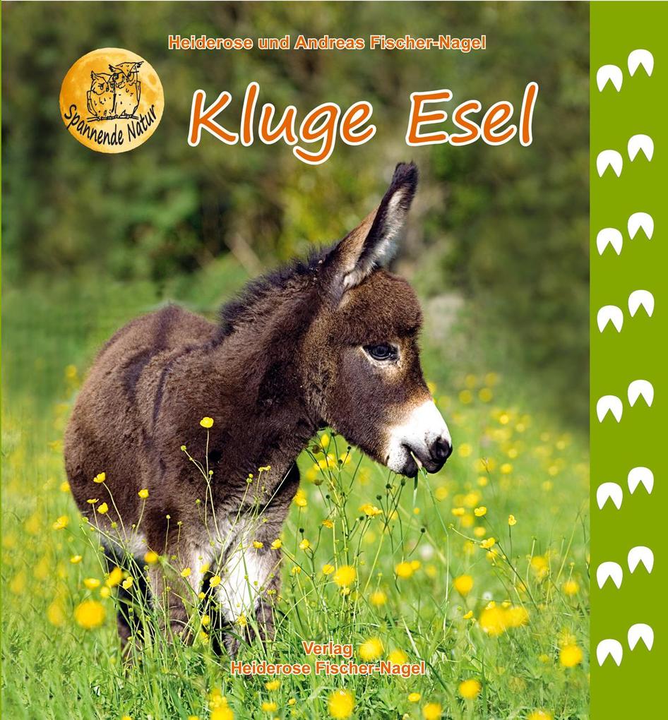 Image of Kluge Esel