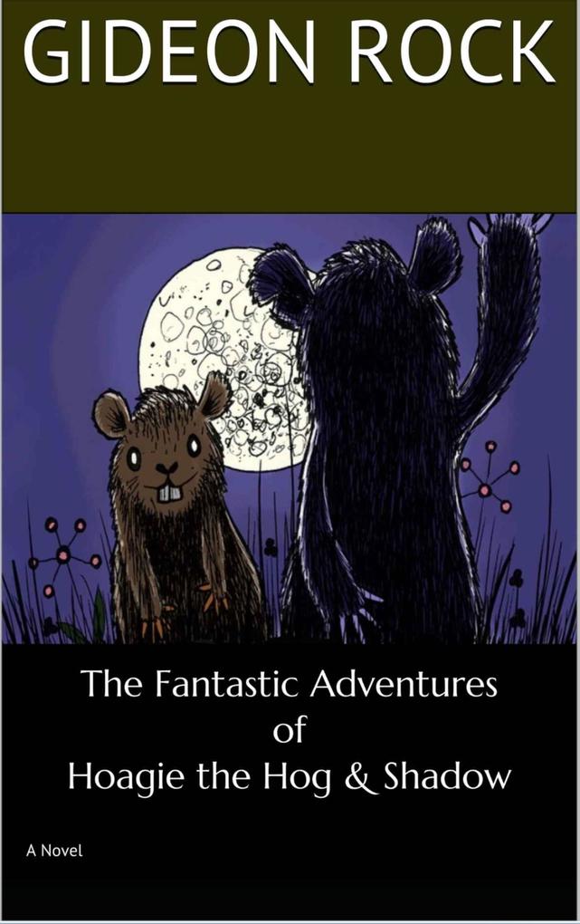 The Fantastic Adventures of Hoagie the Hog and Shadow