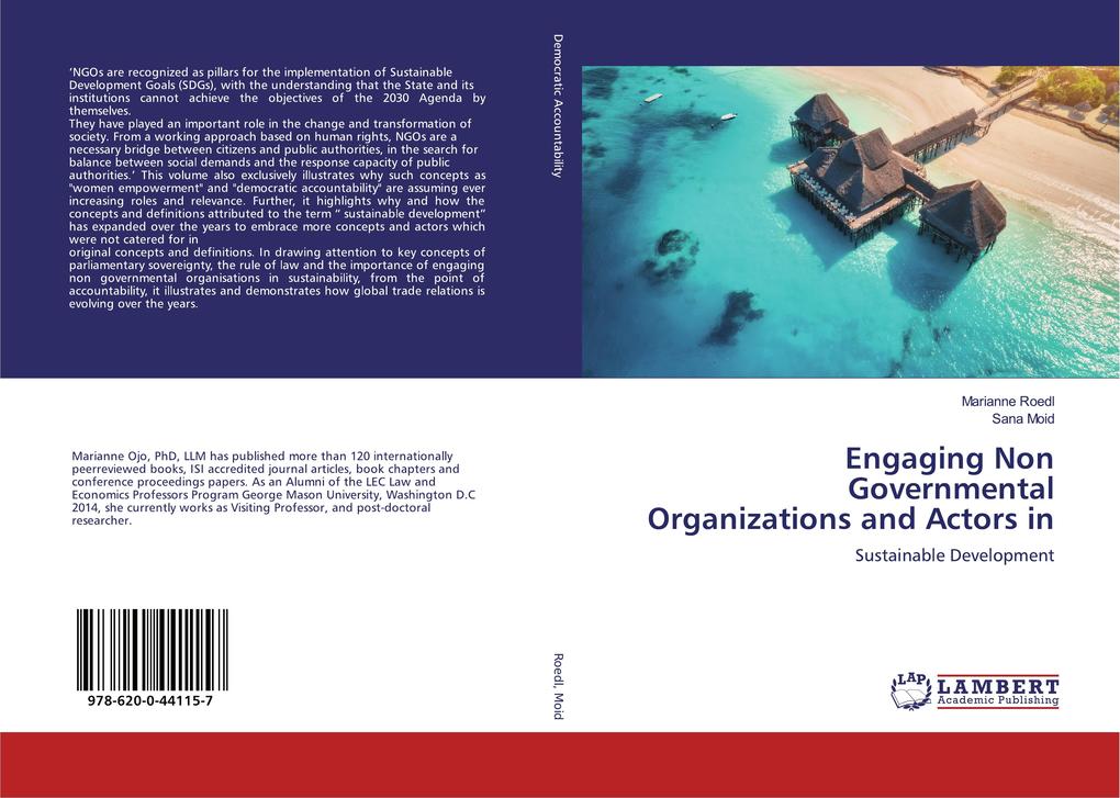 Engaging Non Governmental Organizations and Actors in