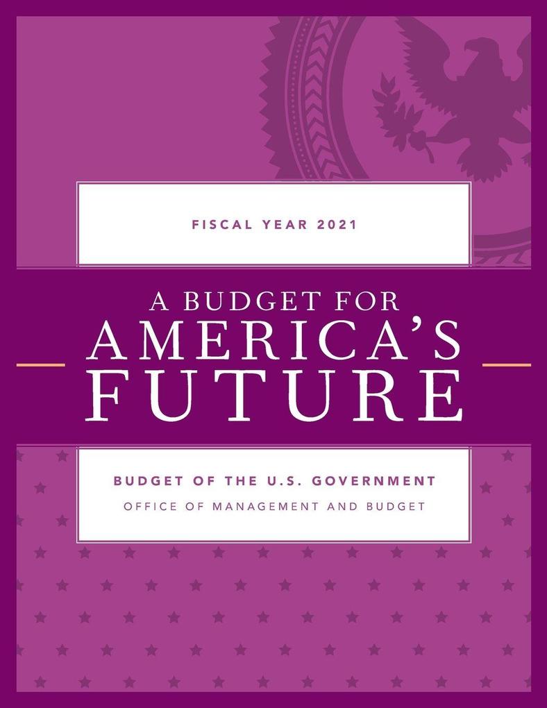 Budget for America's Future