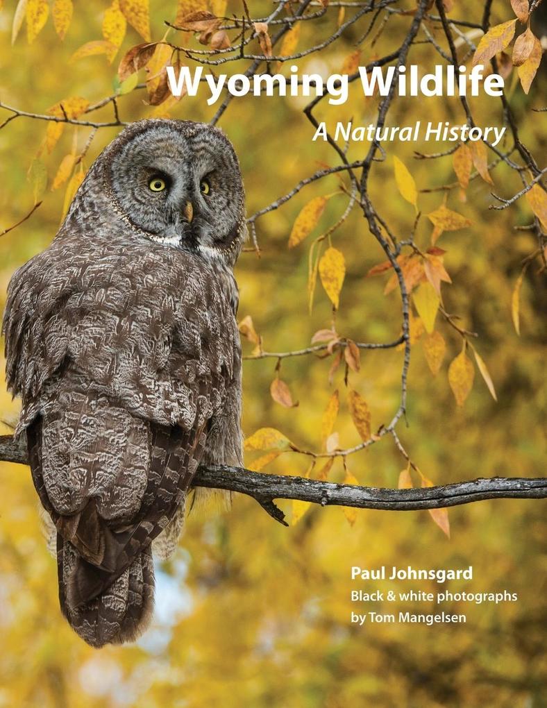Wyoming Wildlife