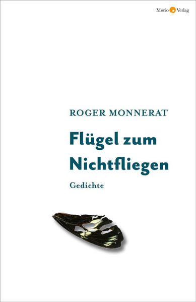 Image of Flügel zum Nichtfliegen
