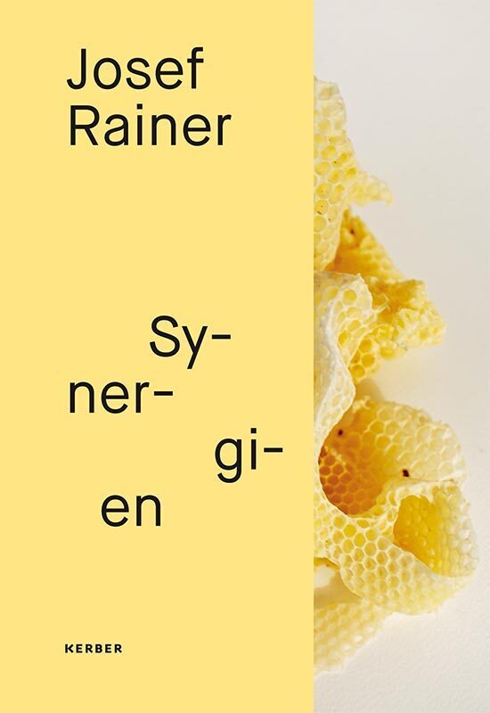 Kerber Josef Rainer, Fachbücher Von Paulus Rainer, Josef Rainer, Emanuele Guidi, Elena Basteri - Bild 4