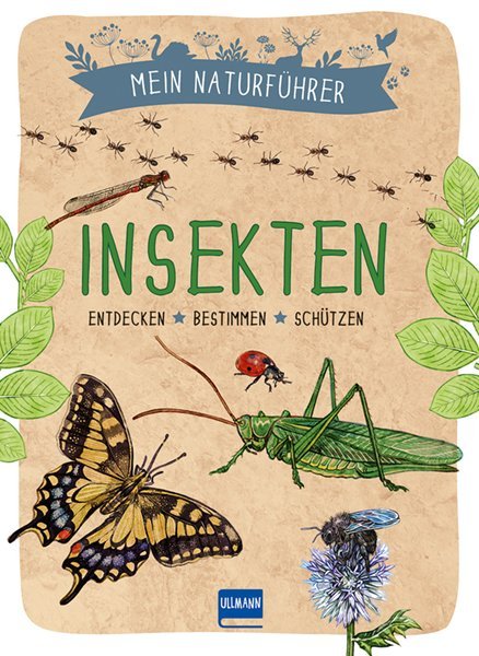 Image of Mein Naturführer - Insekten