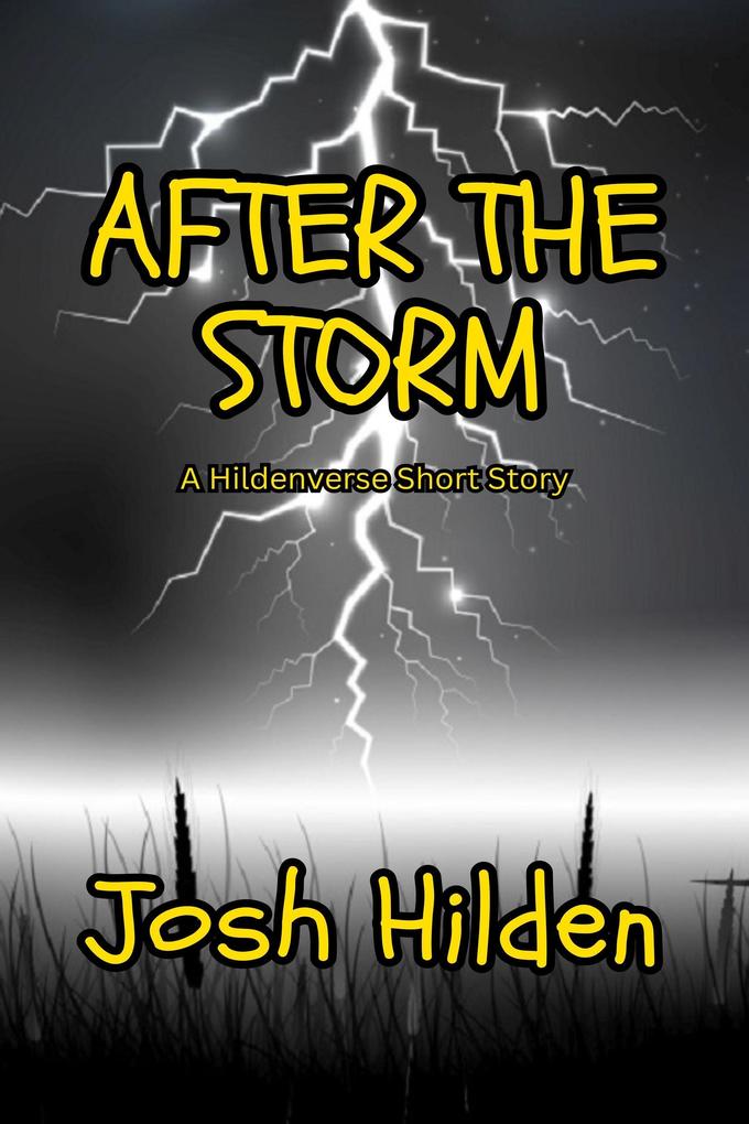 After The Storm (The Hildenverse)