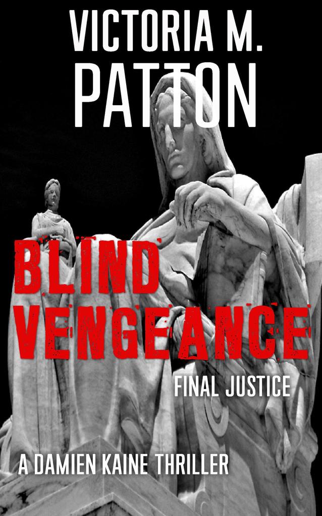 Blind Vengeance - Final Justice (Damien Kaine Series #5)