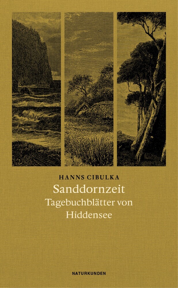 Matthes & Seitz Verlag Sanddornzeit - Bild 4