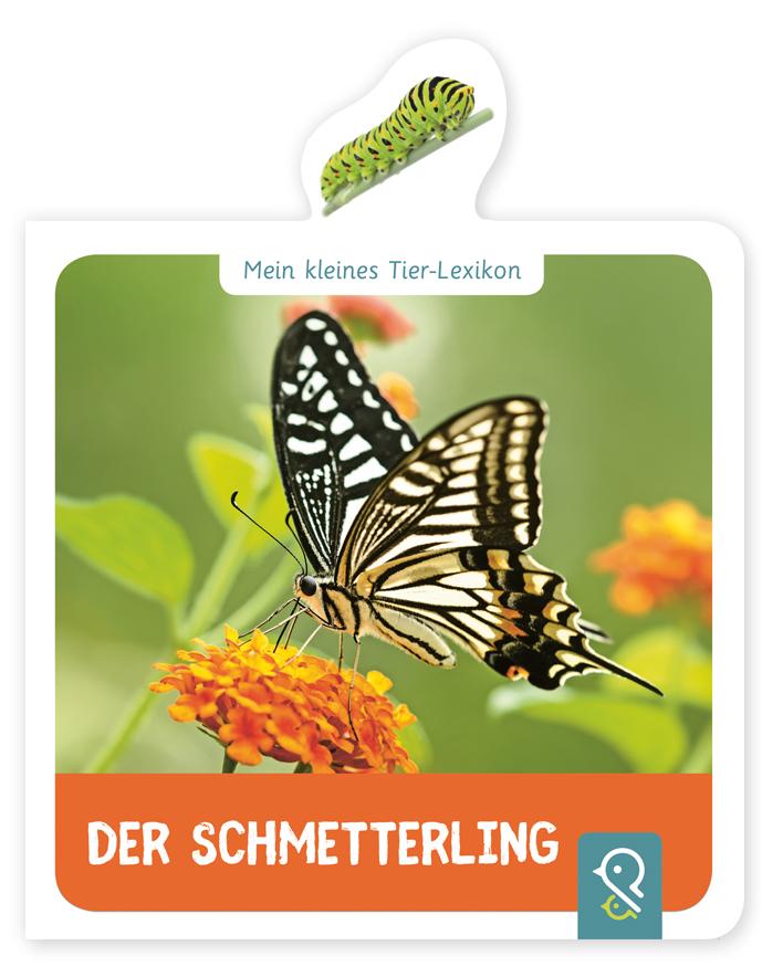 Image of Der Schmetterling - Hannah Kastenhuber, Gebunden