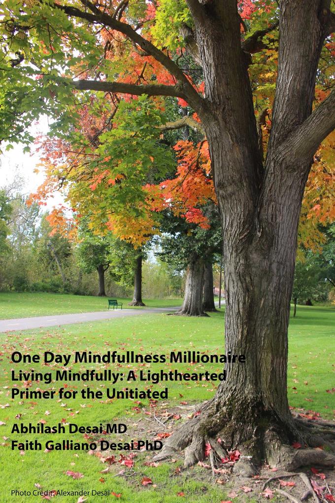 One Day Mindfulness Millionaire