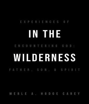 In the Wilderness: Experiences of Encountering God