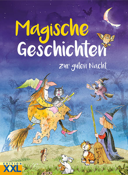 Image of Magische Geschichten zur guten Nacht