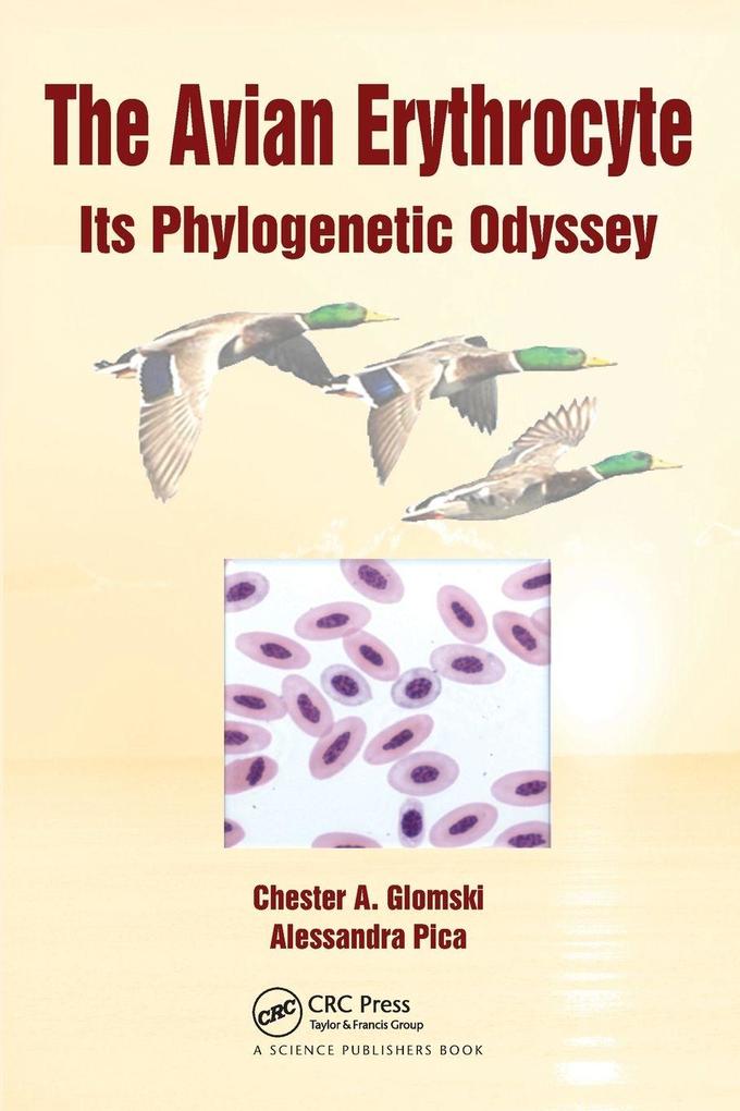 The Avian Erythrocyte