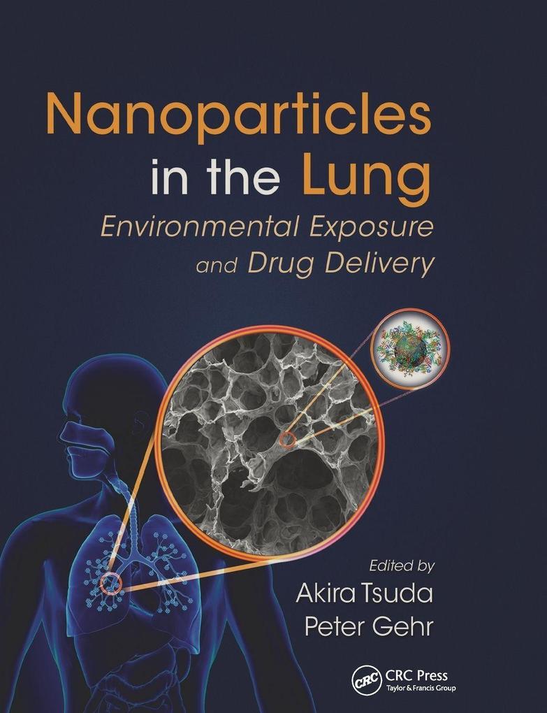 Nanoparticles in the Lung