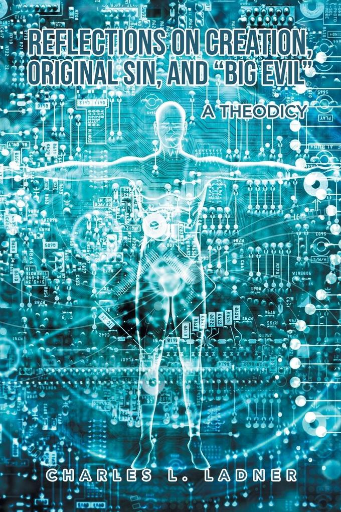 Reflections on Creation Original Sin and 'Big Evil'